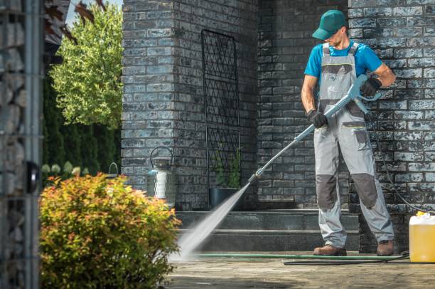 Best Driveway Cleaning and Restoration in Woodhaven, MI